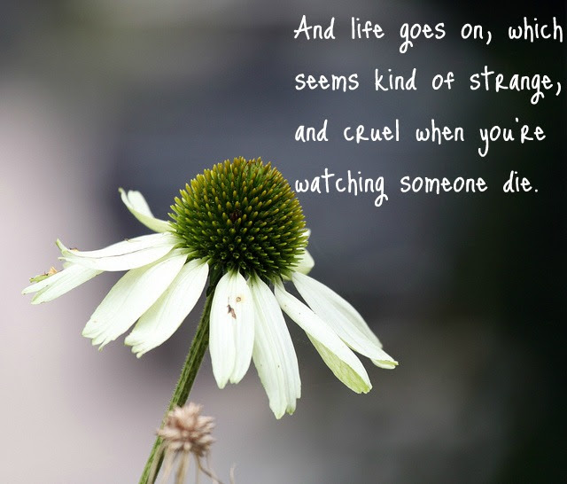 death of on one quotes inspirational loved quotes death