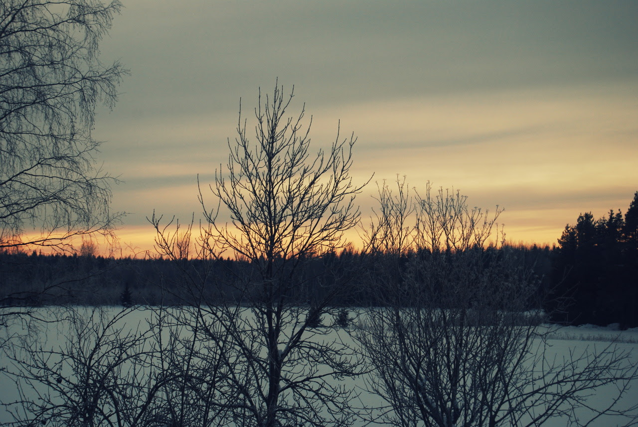 http://25.media.tumblr.com/11369d92f6d8b423f5270fe41b3a25e6/tumblr_mfmfevT24g1qjbhbko1_1280.jpg