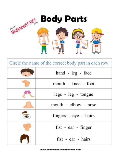  body parts worksheet 6