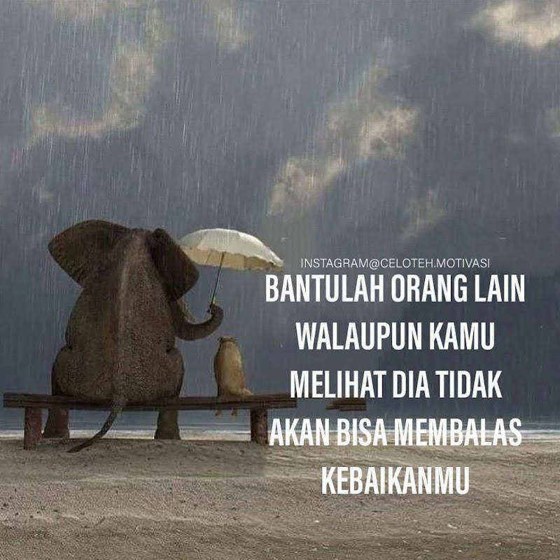 23+ Info Baru Kata Inspirasi Tentang Hidup Itu