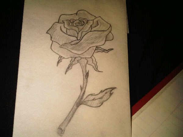 rose tattoos
