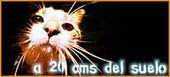 http://irimia.blogspot.com