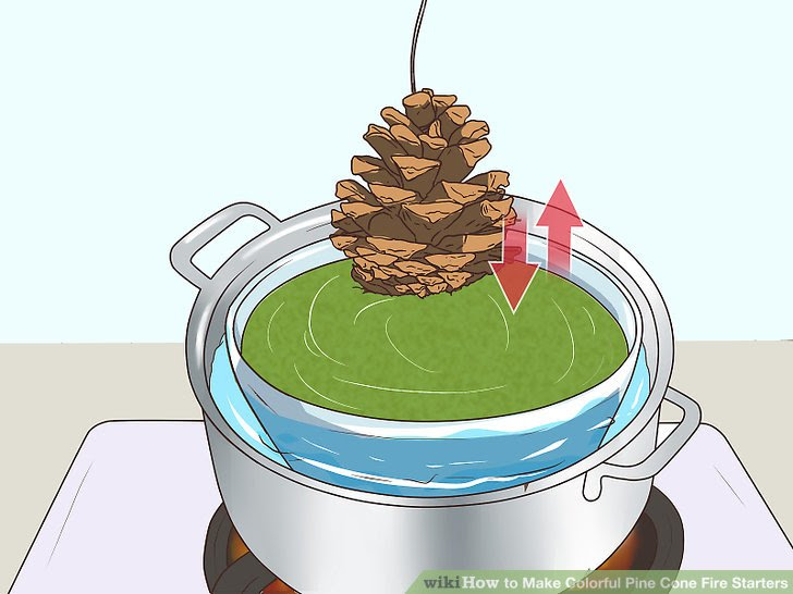 Make Colorful Pine Cone Fire Starters Step 6.jpg
