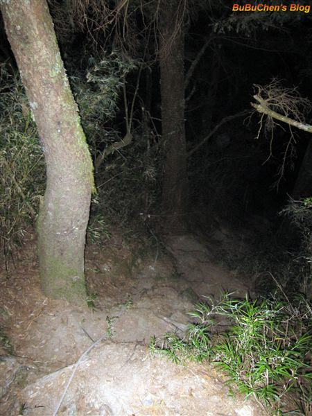 DSC 192.jpg