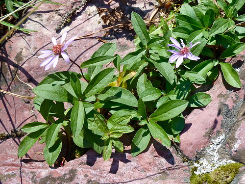 P1070405