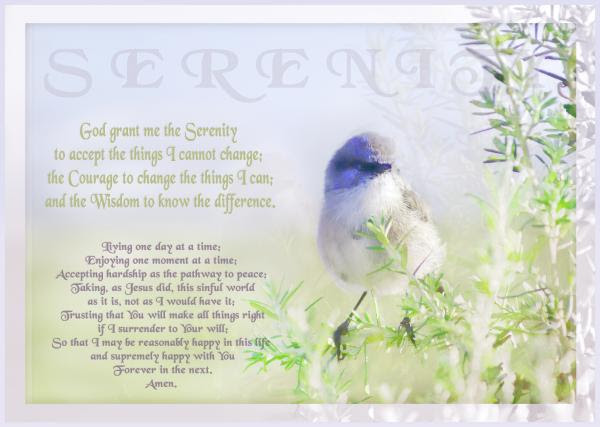 Deluxe vinyl double book cover with serenity prayer alcoholics