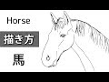 【印刷可能】 鉛筆画 馬 イラスト リアル 174653