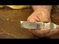 best beginner woodworking tools