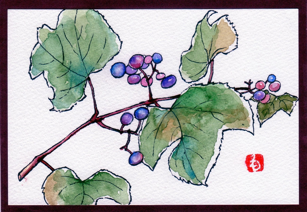 野ぶどう はがき絵アイウエオ