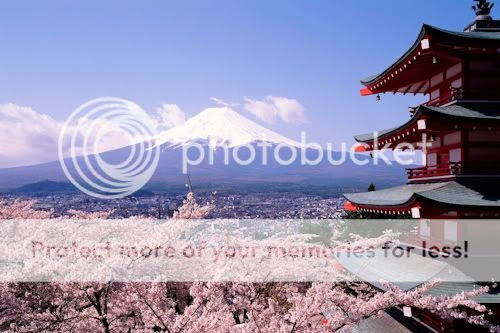 CLICK PARA ENTRAR Y VER MAS FOTOGRAFIAS