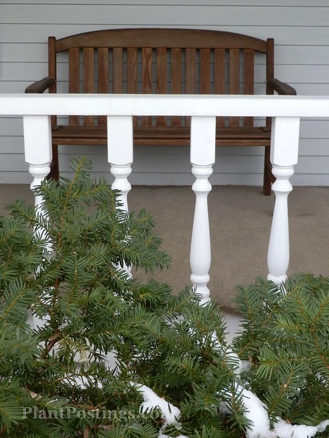 bench7