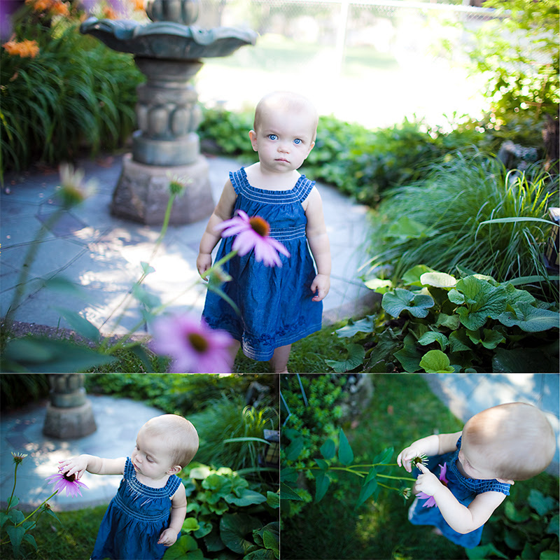 www.dreamingtreephotography.org
