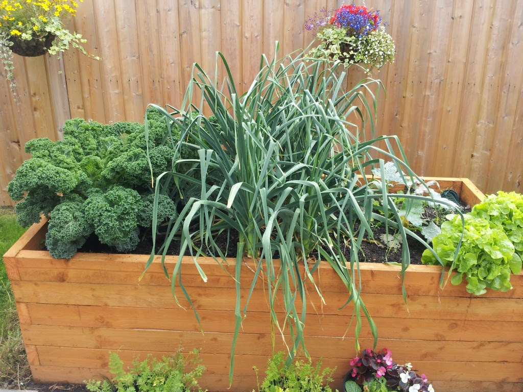 Vegetables To Grow In A Small GardenGreenside Up