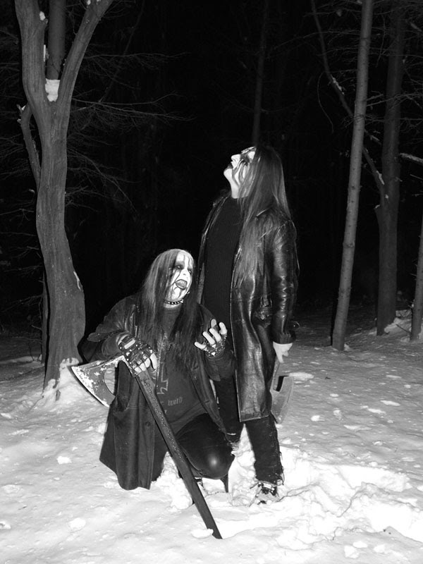 Forest Silence - Photo