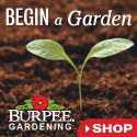Burpee Gardening