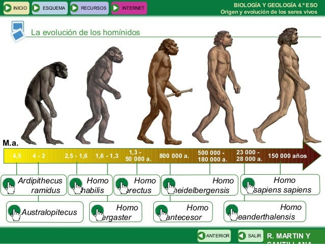 Resultado de imagen de origen y evolucion de seres vivos 4 ESO