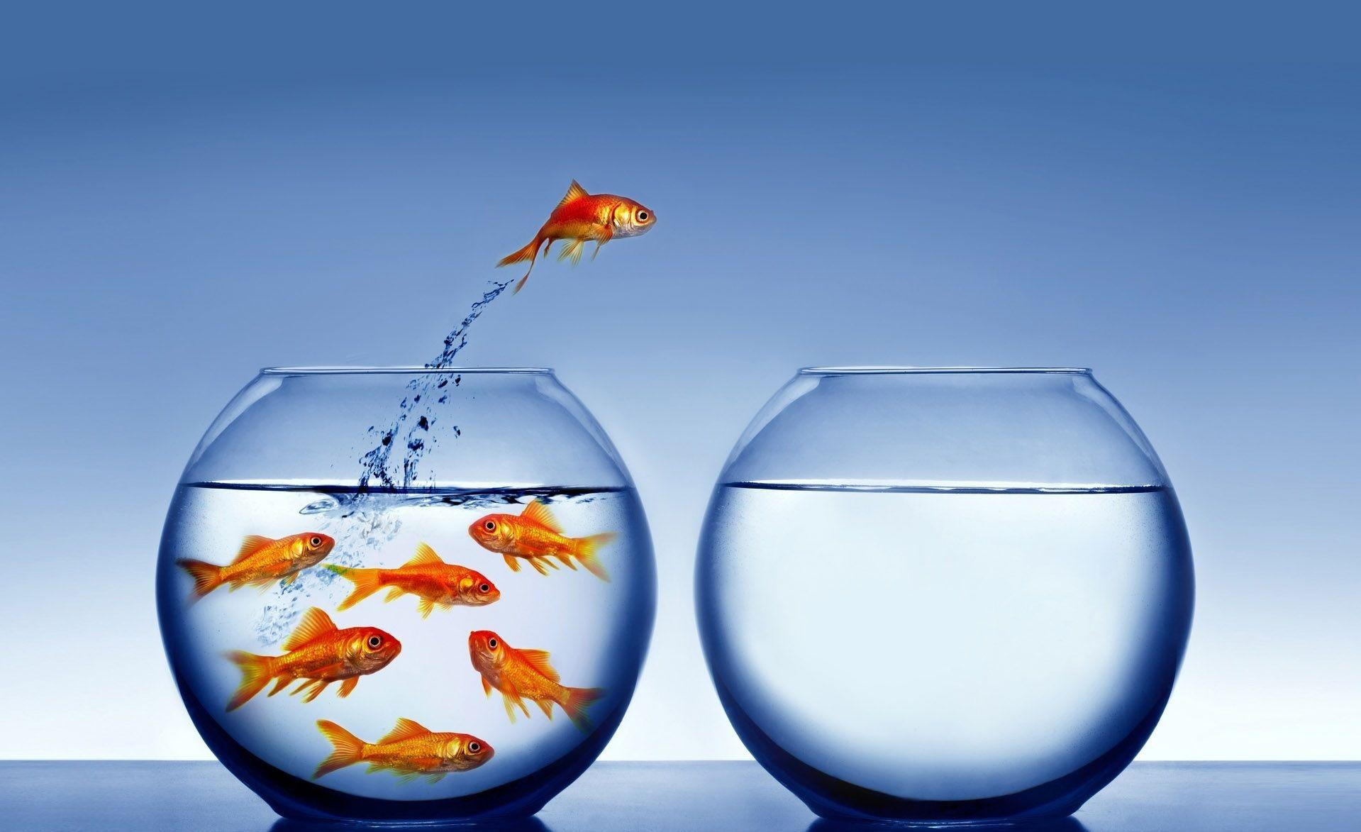 Think Different Wallpapers Wallpaper Cave Afalchi Free images wallpape [afalchi.blogspot.com]