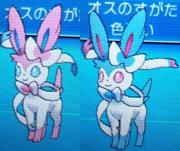 色違いに釘付け ニンフィア Xy
