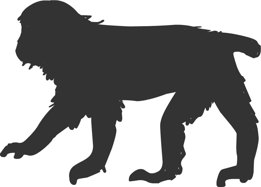 猿 サル イラスト 無料