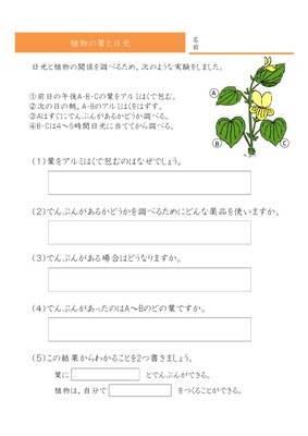 ドリルズ 小学6年生 理科 の無料学習プリント植物の葉と日光