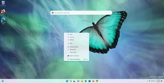 Windows 11 Insider Preview Build 25131 improves the performance of the Microsoft Store app and fixes a few bugs
