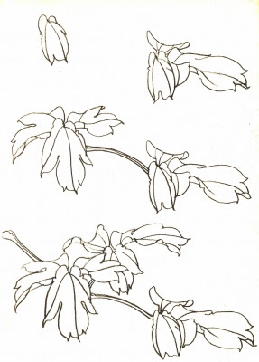 牡丹の描き方 工筆画