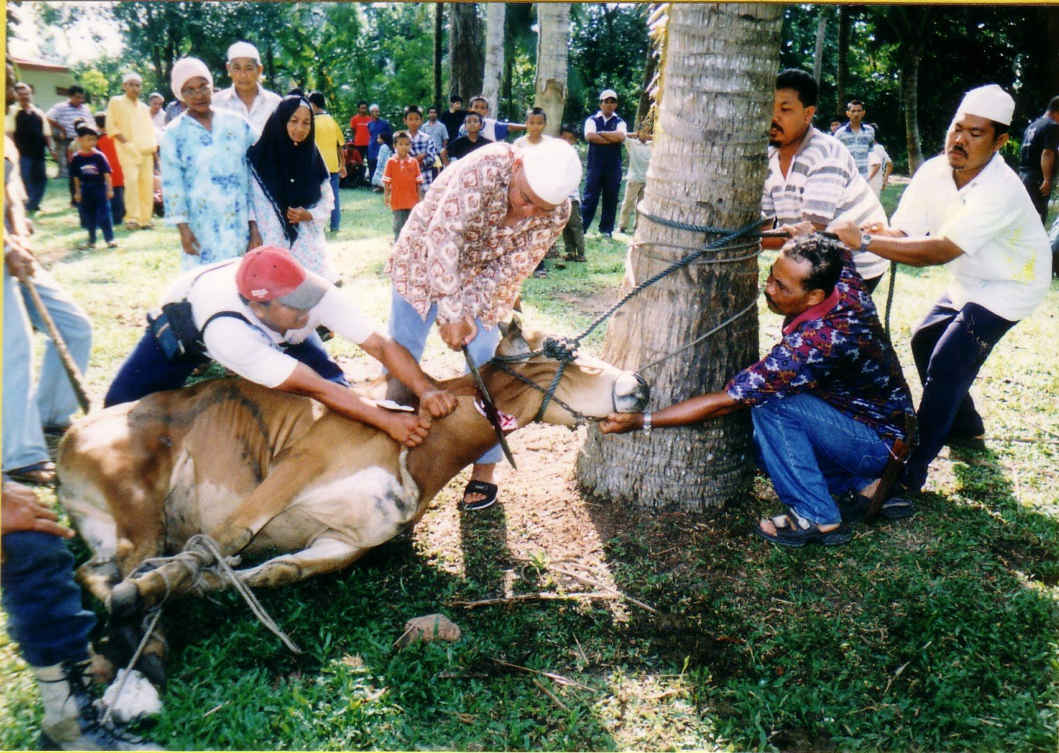 Hari Raya Haji  Harmony Truck