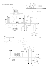 ⭐ Polaris Rush Wiring Diagram ⭐