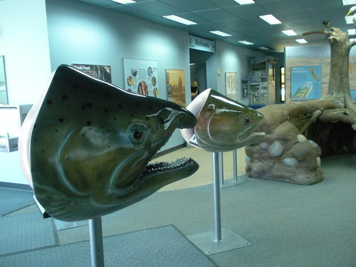 Nimbus Visitors Center