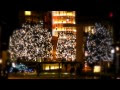 √完了しました！ 高 画質 クリスマス ツリー イルミネーション 101345