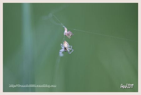 IMG_4668_sign_e