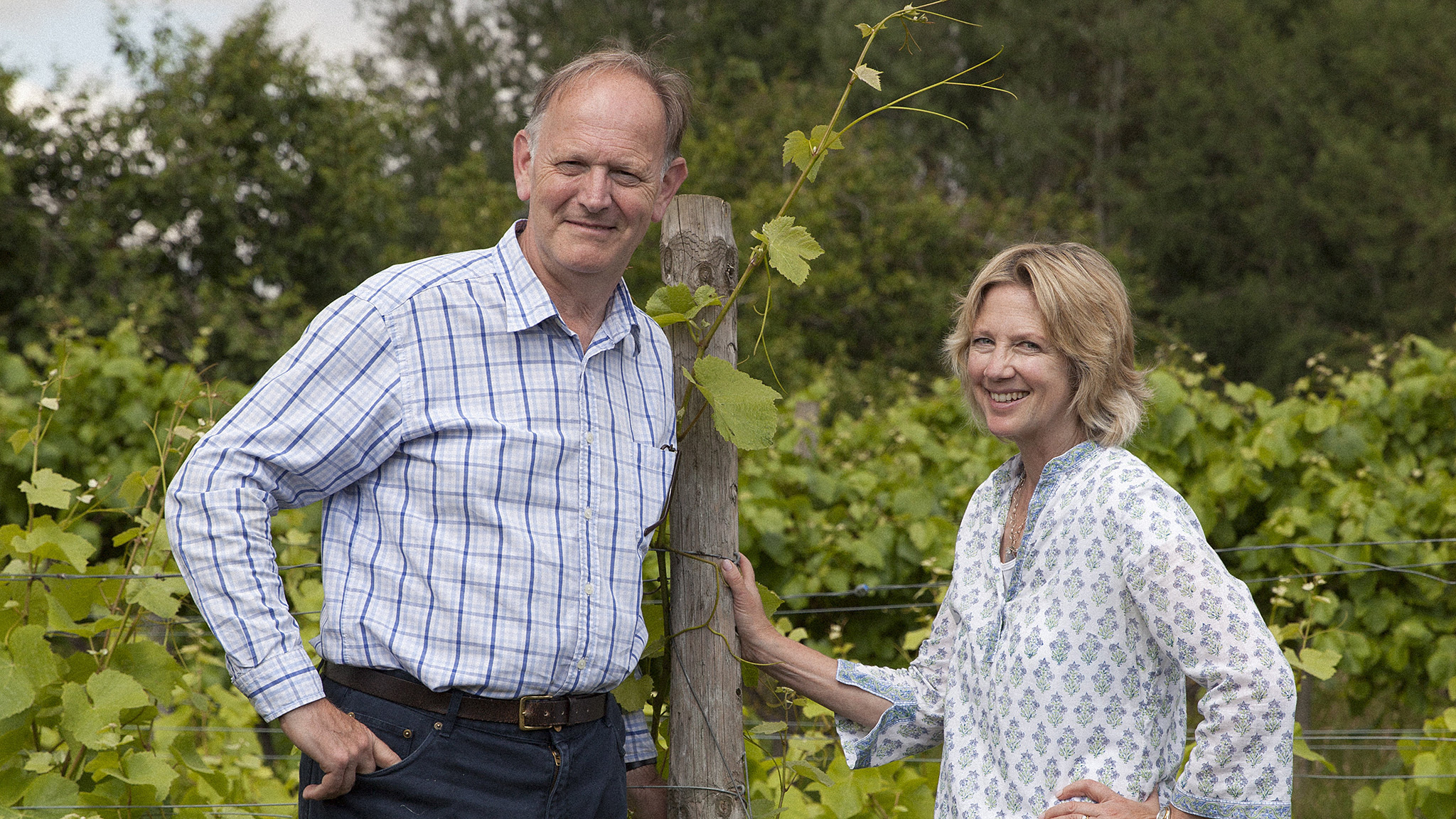 So You Think You Could Run A Vineyard Financial Times