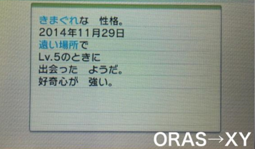 トレーナーメモ検証 R C