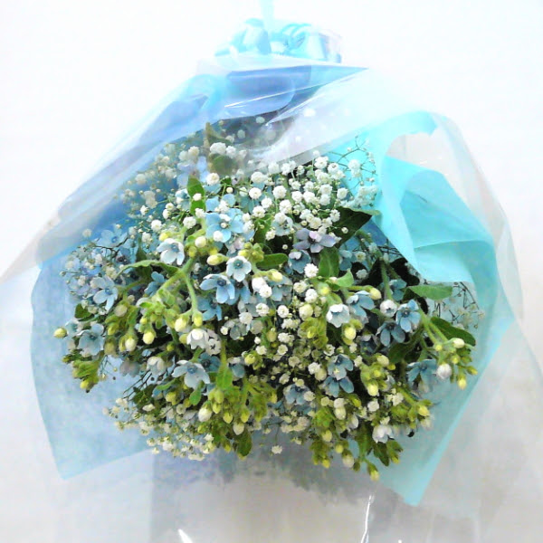 ブルースターとカスミ草の花束 フラワーケーキ ブルースター バルーンフラワー岐阜県の花屋 バルーンフラワー フラワーケーキ ブルーマートバルーンフラワー ブルーマート 岐阜県の花屋 バルーンフラワー フラワーケーキ ブルーマート