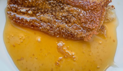 Wild Honey