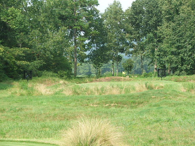 #14 par 3 green