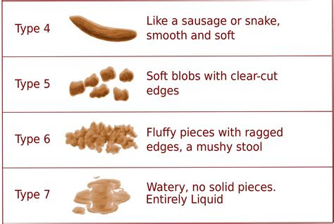  12 free printable stool color charts word pdf free 7 sample stool