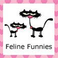 Feline Funnies