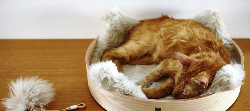 Aktivan Viasz Fegyvertar Couffin Chat Pas Cher Amazon Cayshconcierge Org