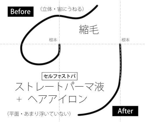 プロカリテで癖毛にストレートパーマを1人でかけてみました 鳥取の社長日記