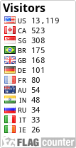 Flag Counter
