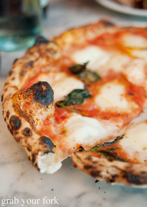 bubbled crust on margherita pizza at motorino pizza east village italian new york pizza ny usa