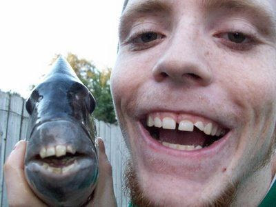 人間のような歯を持つ魚 シープスヘッド いろんなネタを道場 ノンセクション まにあ道 趣味と遊びを極めるサイト
