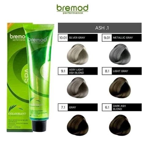  bremod hair color ash series ash grey ash blond metallic grey dust