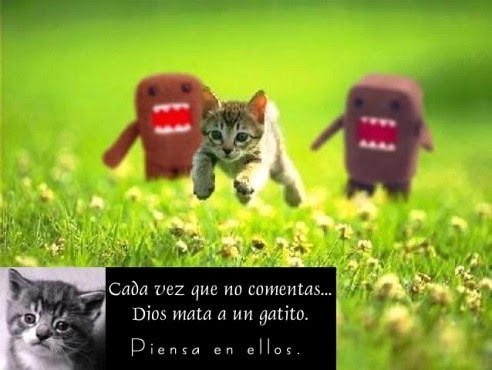piensa en los gatitos...