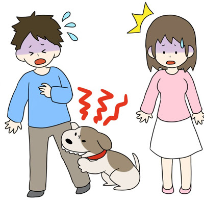犬が噛む9つの理由 噛む原因を取り除いて噛み癖を治そう 犬の総合情報サイト ペットスマイルニュースforワンちゃん