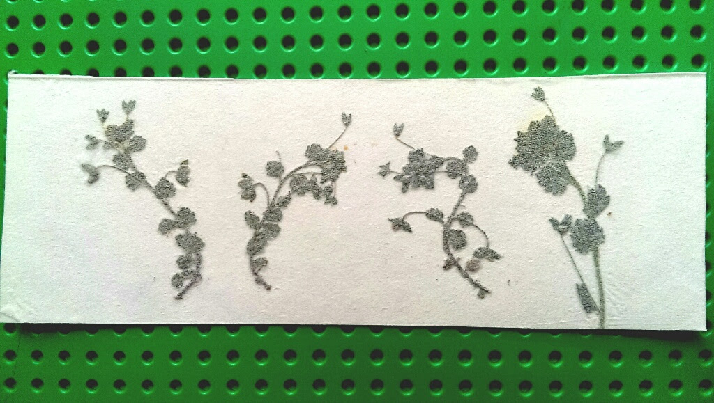 牛乳パックで押し花のしおりをつくるが 失敗の巻 こどものあそび観察日記