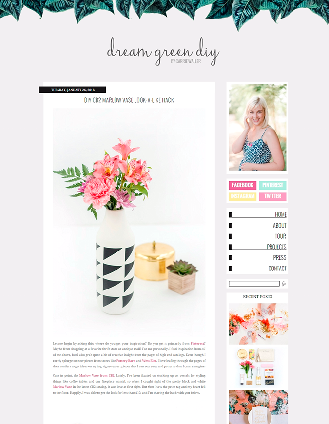  photo DreamGreenDiy.png