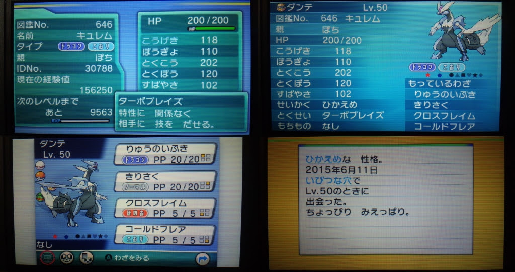 色違い 固定リセット キュレム 迷犬ぽちのあしあと