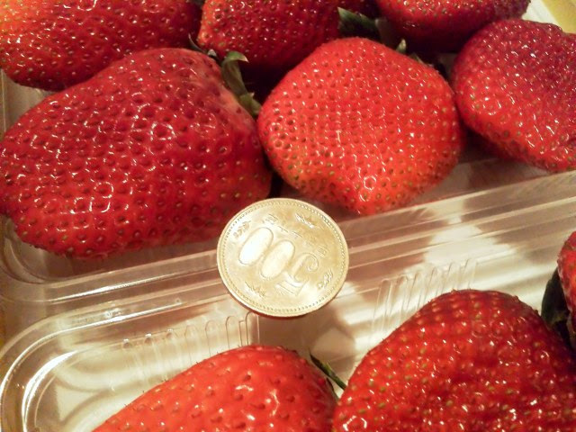 サラリーマンの休日 ちょっと行ってきた 巨大イチゴ 美人姫 の自動販売機